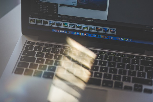 Studiengänge an Wirtschaftshochschulen: Ein Überblick